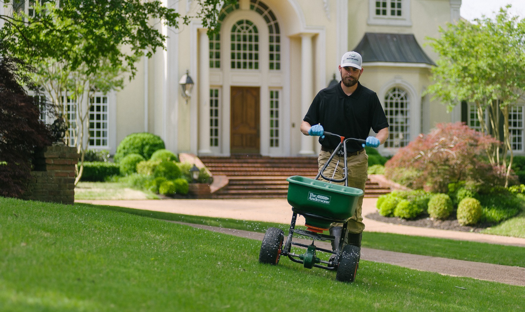 Lawn fertilizer deals service